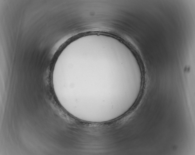 X0000111220875200907020957