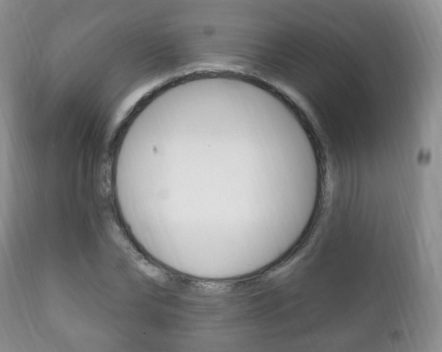 X0000111220878200907020957