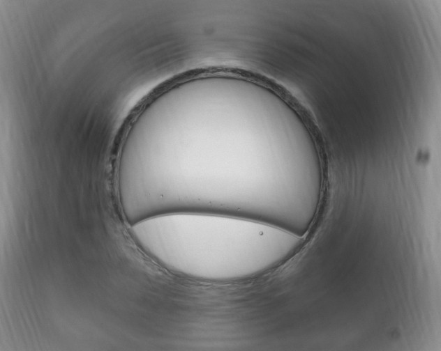X0000111220879200907020957
