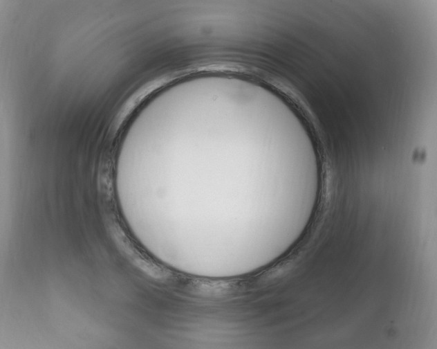 X0000111220882200907020957