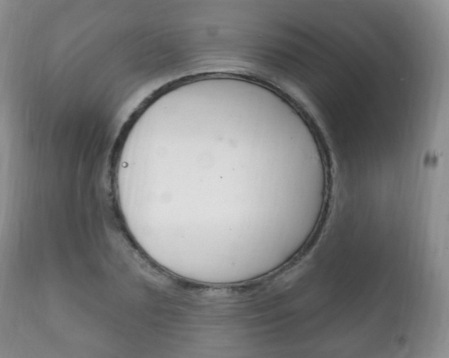 X0000111220883200907020957