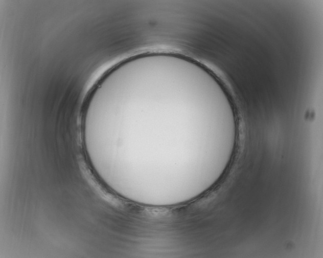 X0000111220886200907020957