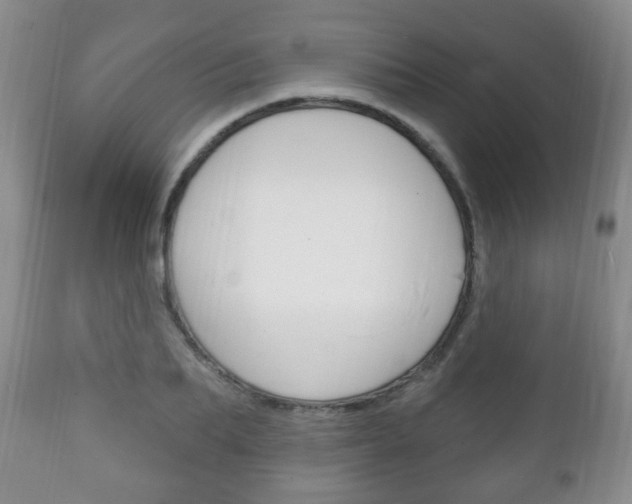 X0000111220887200907020957