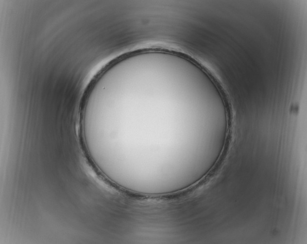 X0000111220888200907020957