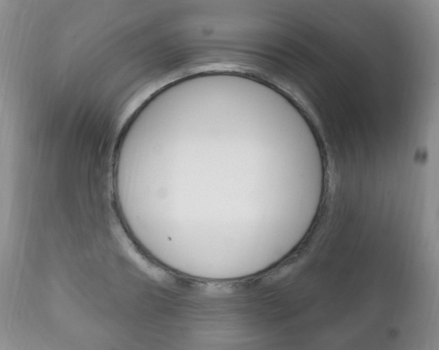 X0000111220890200907020957