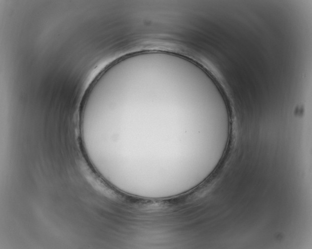 X0000111220891200907020957