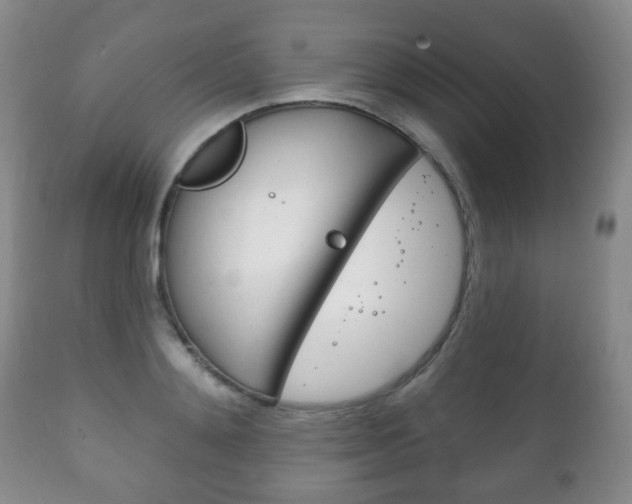 X0000111220892200907020957