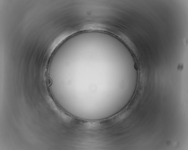 X0000111220893200907020957