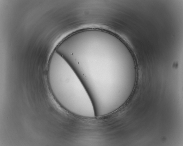 X0000111220895200907020957