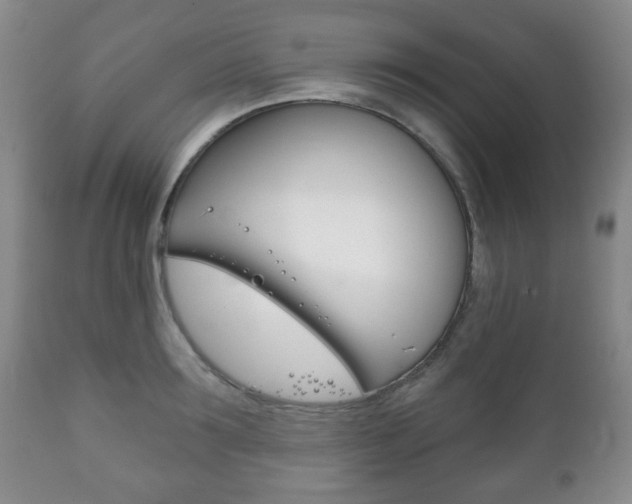 X0000111220899200907020957