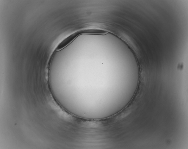 X0000111220900200907020957