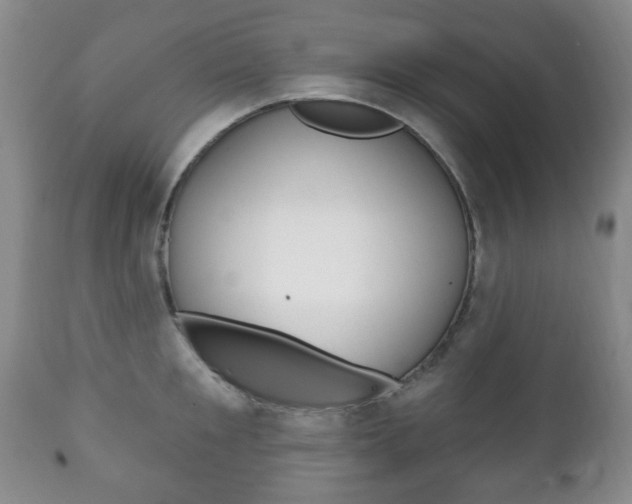 X0000111220901200907020957