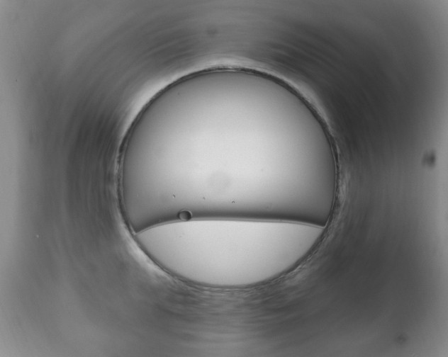 X0000111220903200907020957