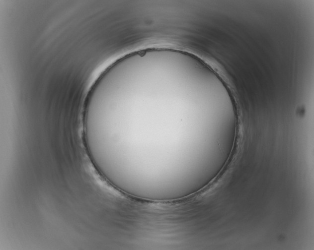 X0000111220904200907020957