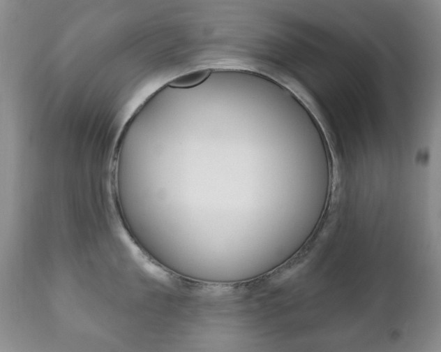 X0000111220909200907020957