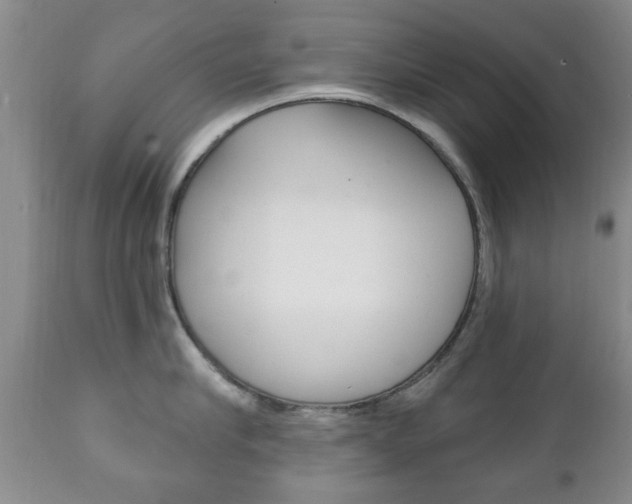 X0000111220910200907020957