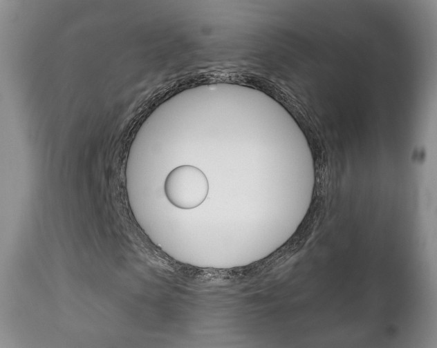 X0000111220913200907020956