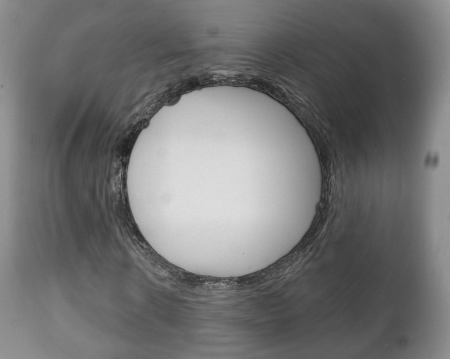 X0000111220914200907020956