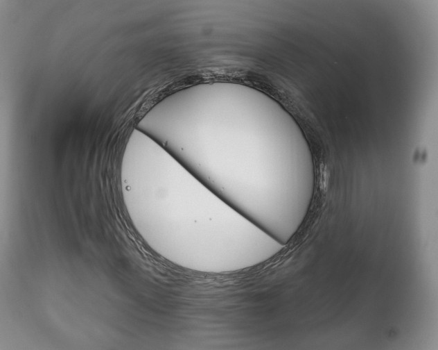 X0000111220915200907020956