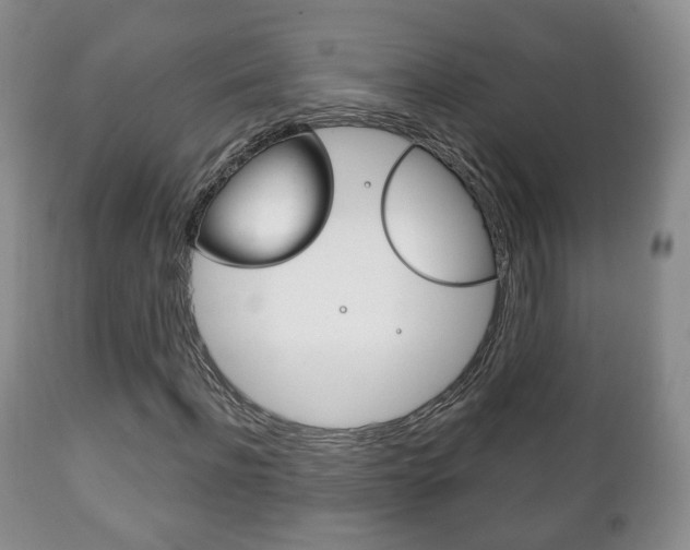 X0000111220916200907020956