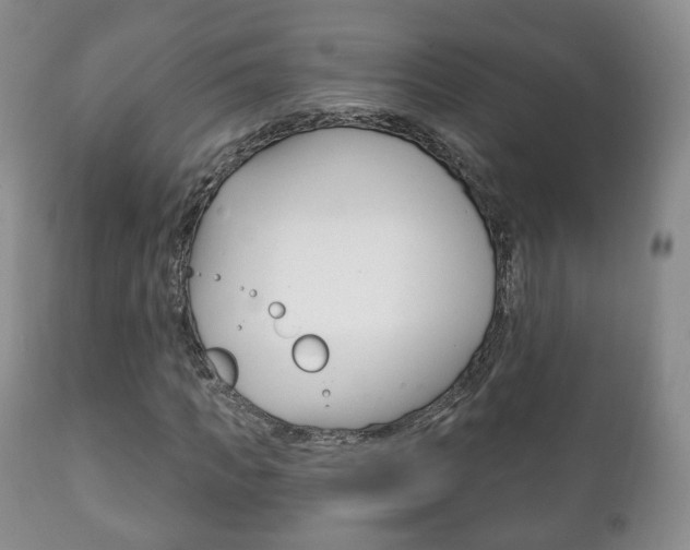 X0000111220917200907020956