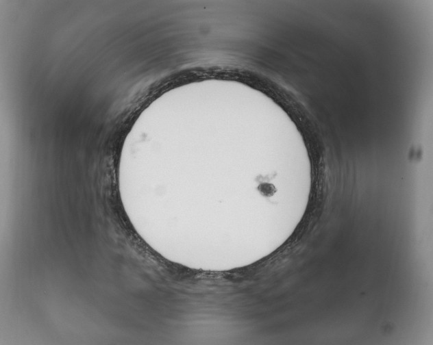 X0000111220918200907020956