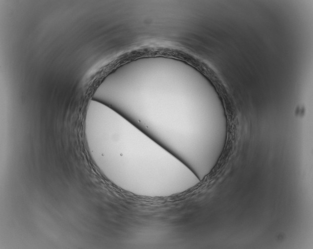 X0000111220919200907020956