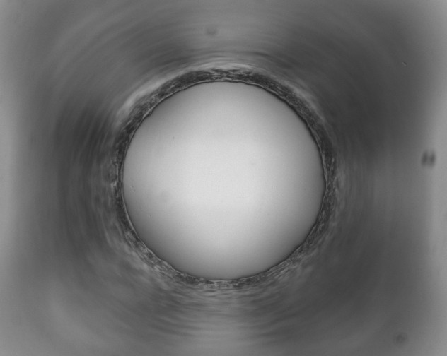 X0000111220920200907020956