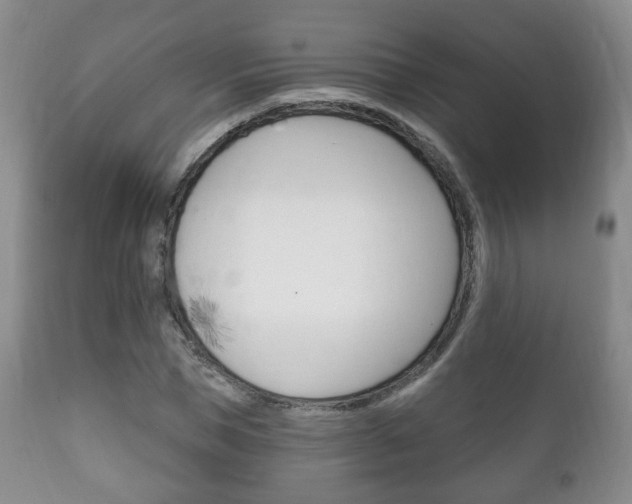 X0000111220921200907020956