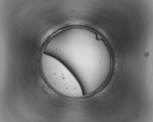 X0000111220922200907020956