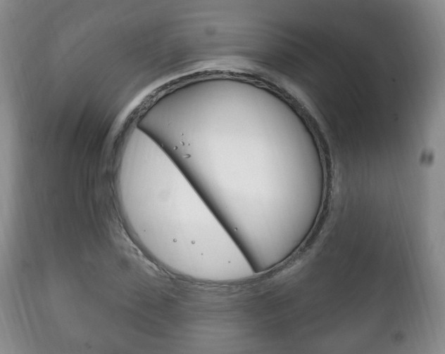 X0000111220923200907020956
