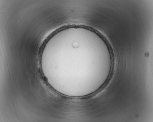 X0000111220925200907020956