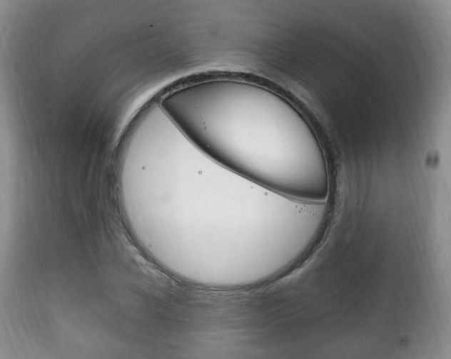 X0000111220926200907020956