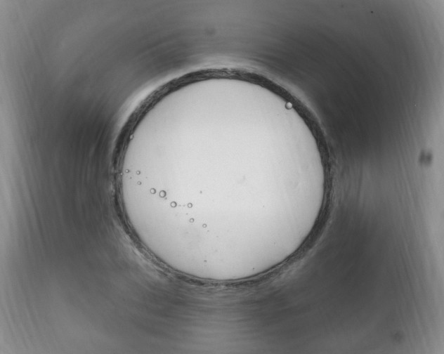X0000111220927200907020956