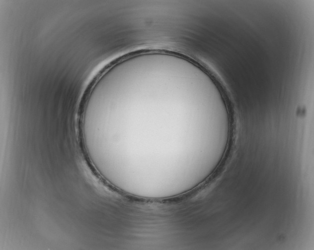 X0000111220932200907020956