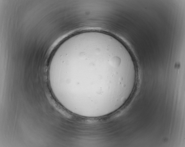 X0000111220933200907020956