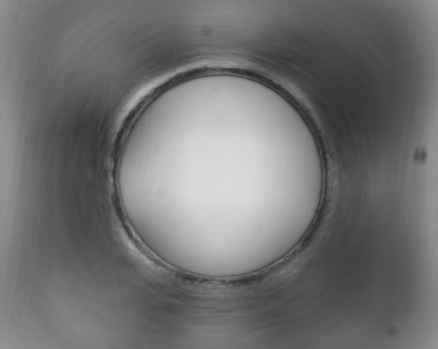 X0000111220935200907020956