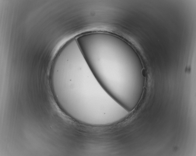 X0000111220936200907020956