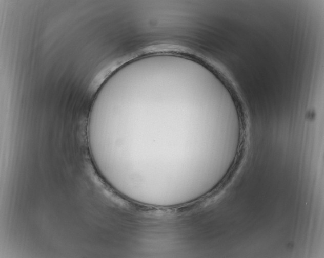 X0000111220937200907020956
