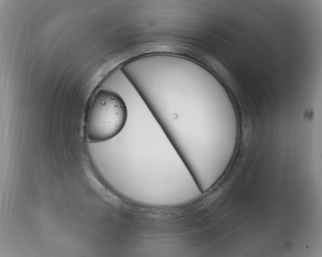 X0000111220938200907020956