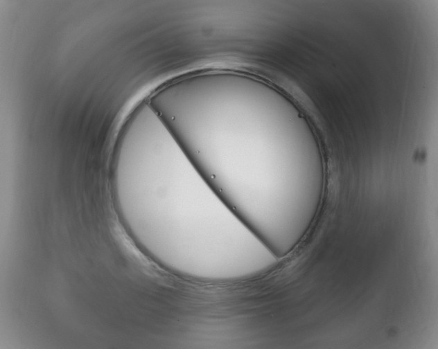 X0000111220939200907020956