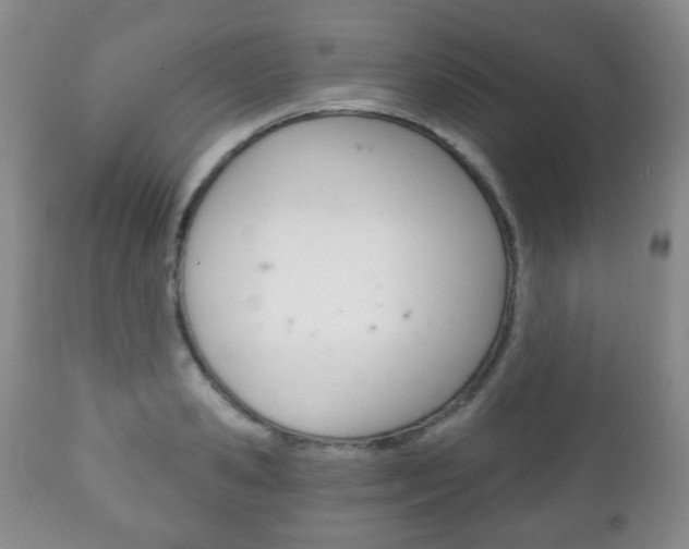 X0000111220941200907020956