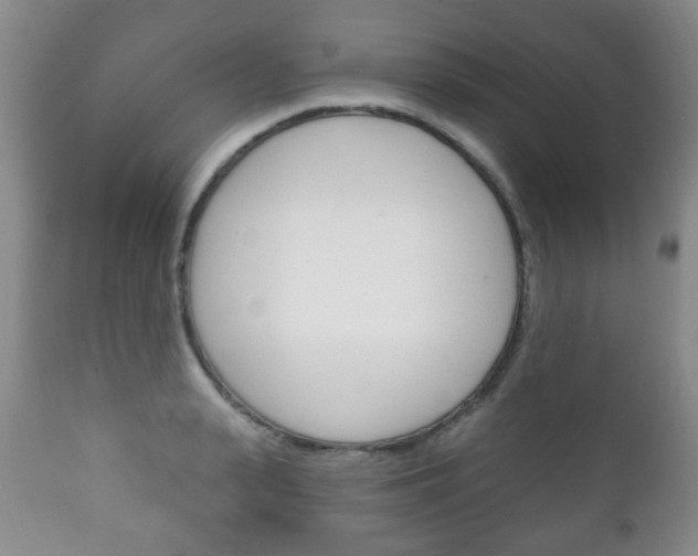 X0000111220943200907020956