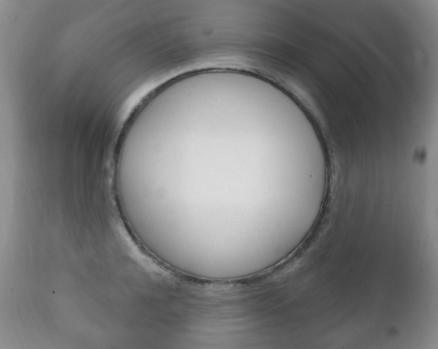 X0000111220944200907020956