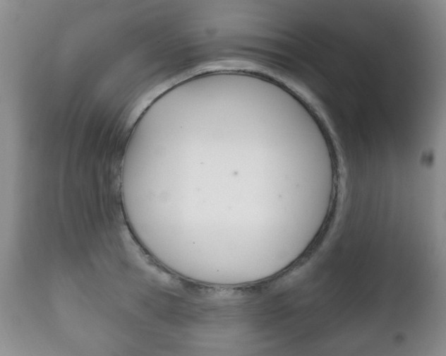 X0000111220945200907020956