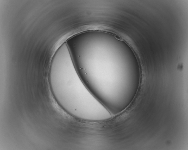 X0000111220946200907020956