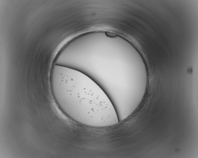 X0000111220947200907020956