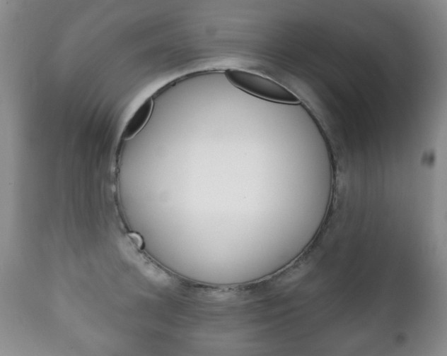 X0000111220948200907020957
