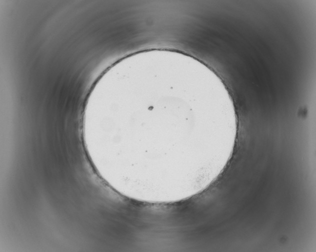 X0000111220950200907020957