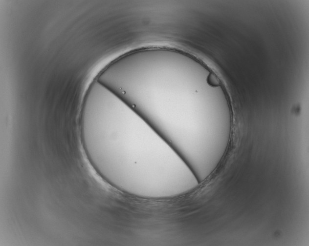 X0000111220951200907020957